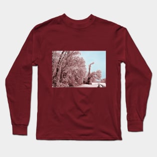 Southern Illinois Winter Scene 8_ Dec 2012 Long Sleeve T-Shirt